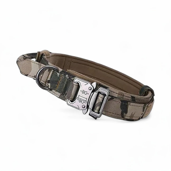 Lisslune | Dog Collar