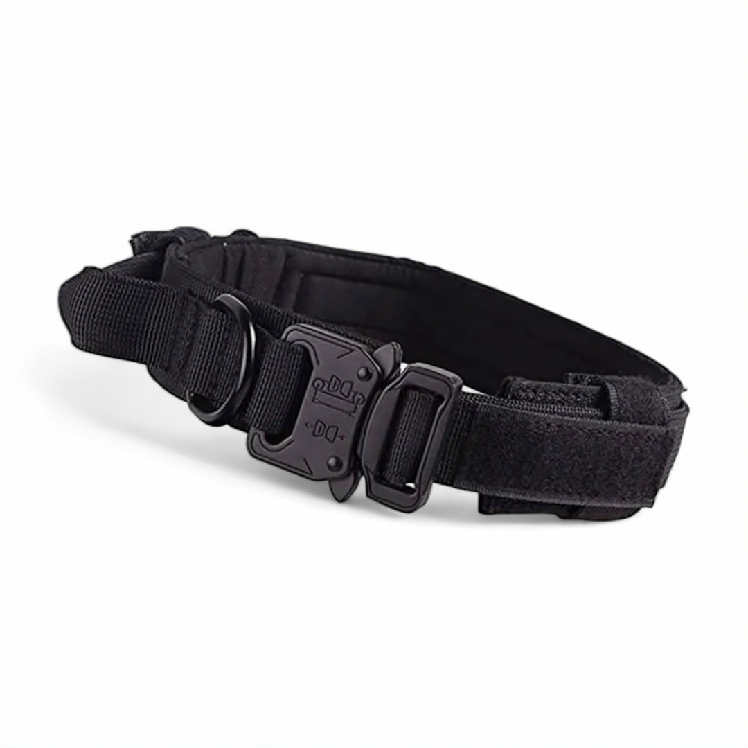 Lisslune | Dog Collar