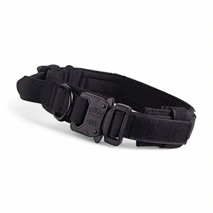 Lisslune | Dog Collar