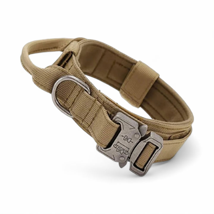 Lisslune | Dog Collar