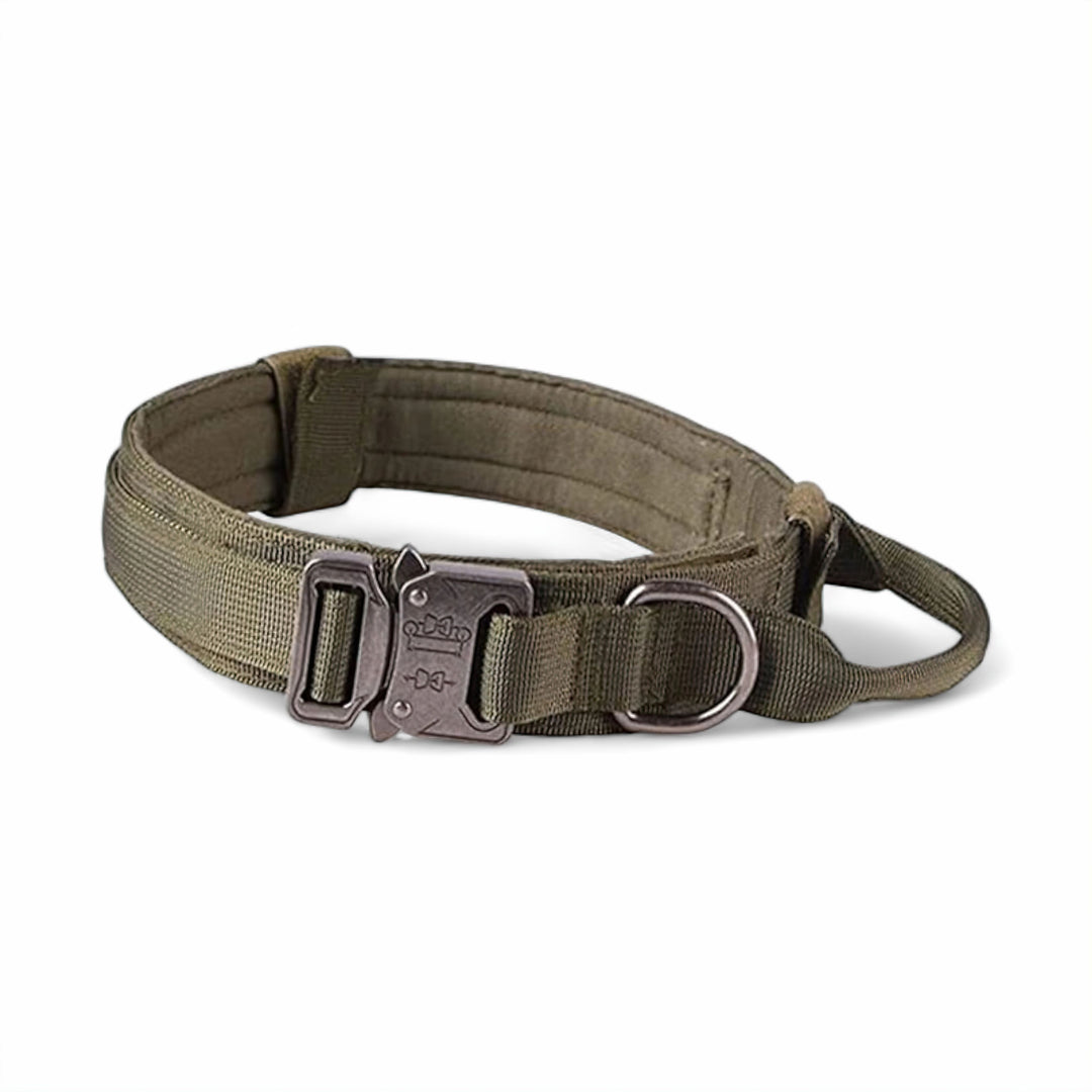 Lisslune | Dog Collar