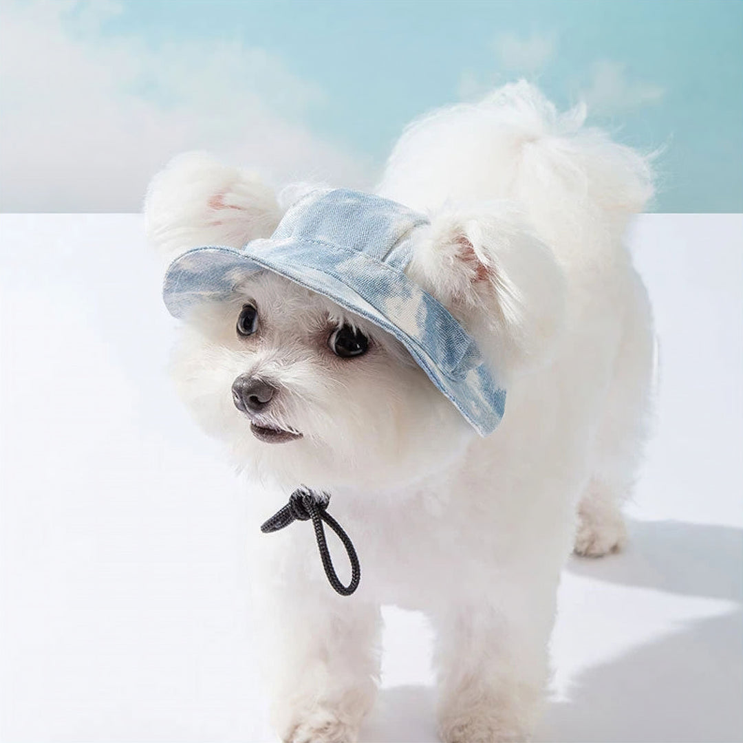 Lisslune | Pet Hat
