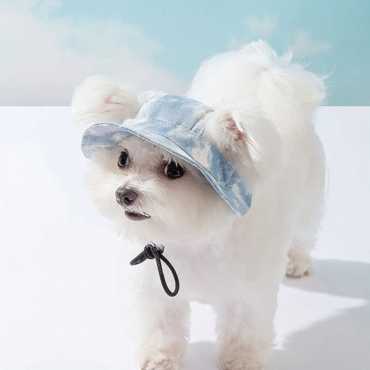 Lisslune | Pet Hat