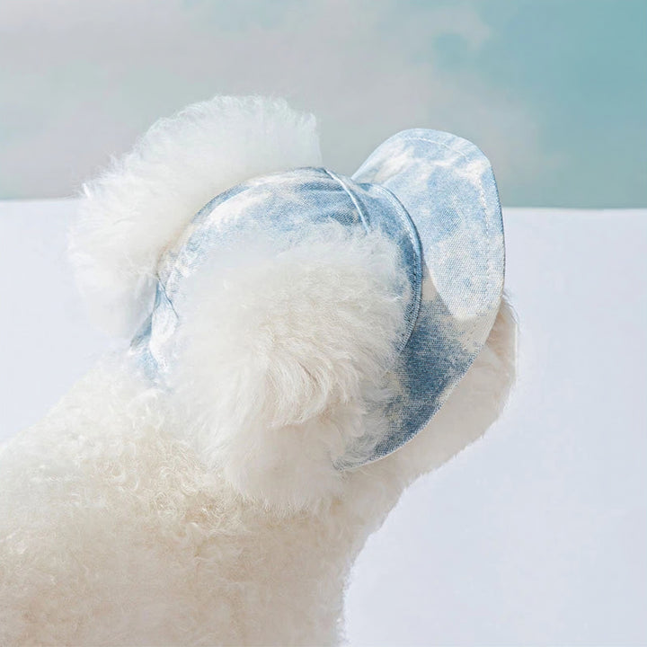 Lisslune | Pet Hat
