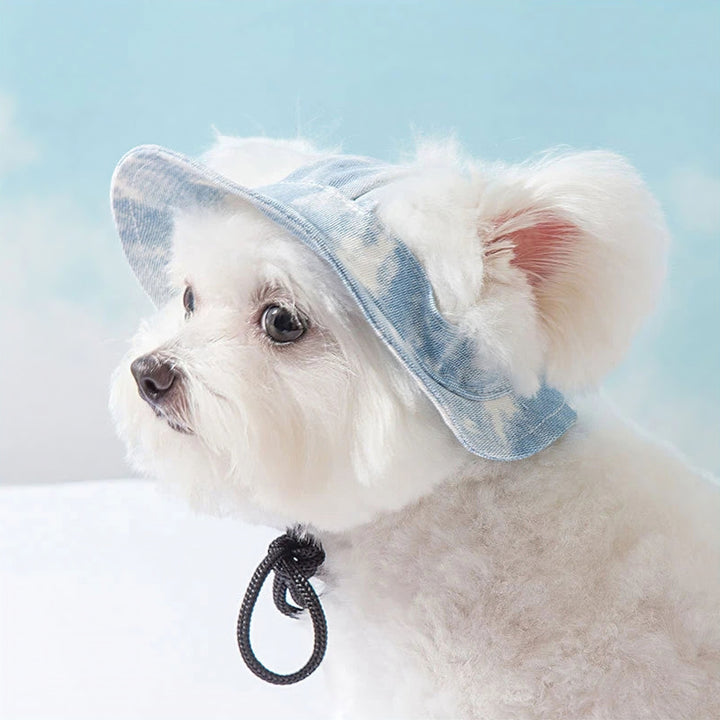 Lisslune | Pet Hat
