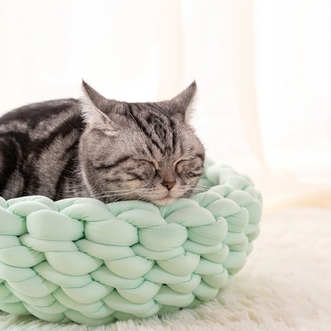 Lisslune | Pet Haven