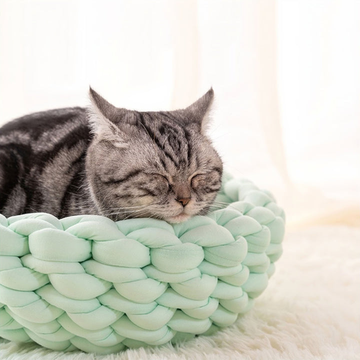Lisslune | Pet Haven