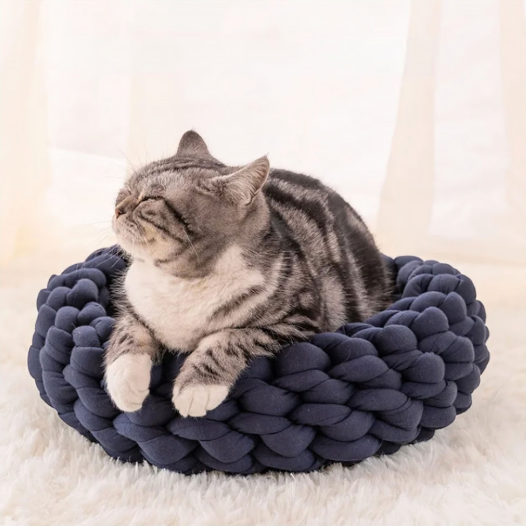 Lisslune | Pet Haven