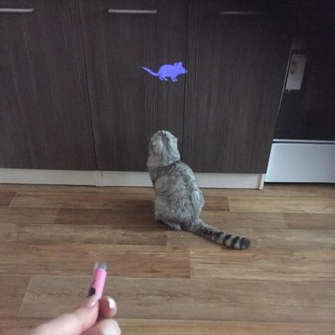 Lisslune | Laser Pointer Toy - Multiple Patterns