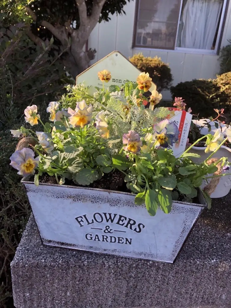 Lisslune | Decorative flower and garden container made of metal with hemp rope handles