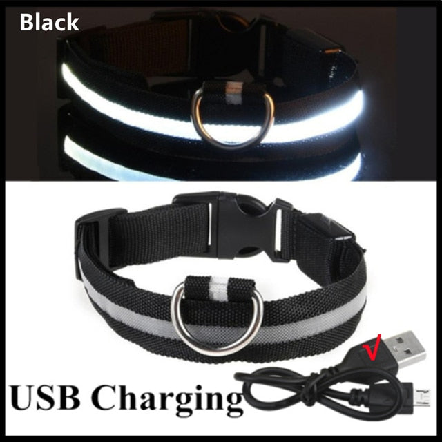 Lisslune | Luminous dog collar