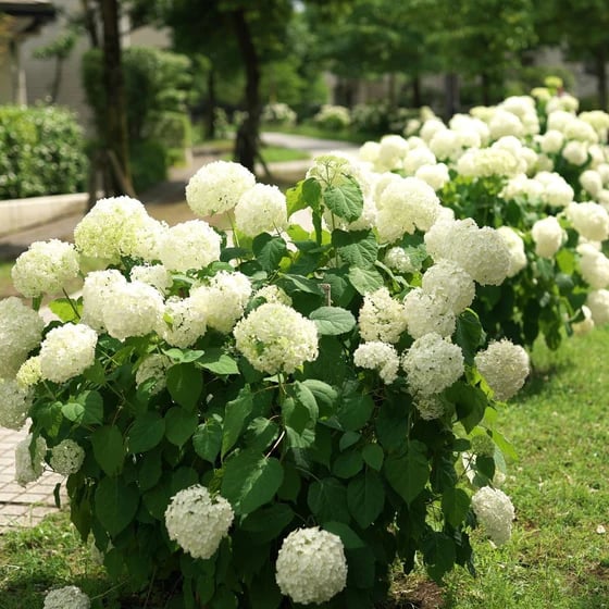 Lisslune | Outdoor Artificial Hydrangea Flowers
