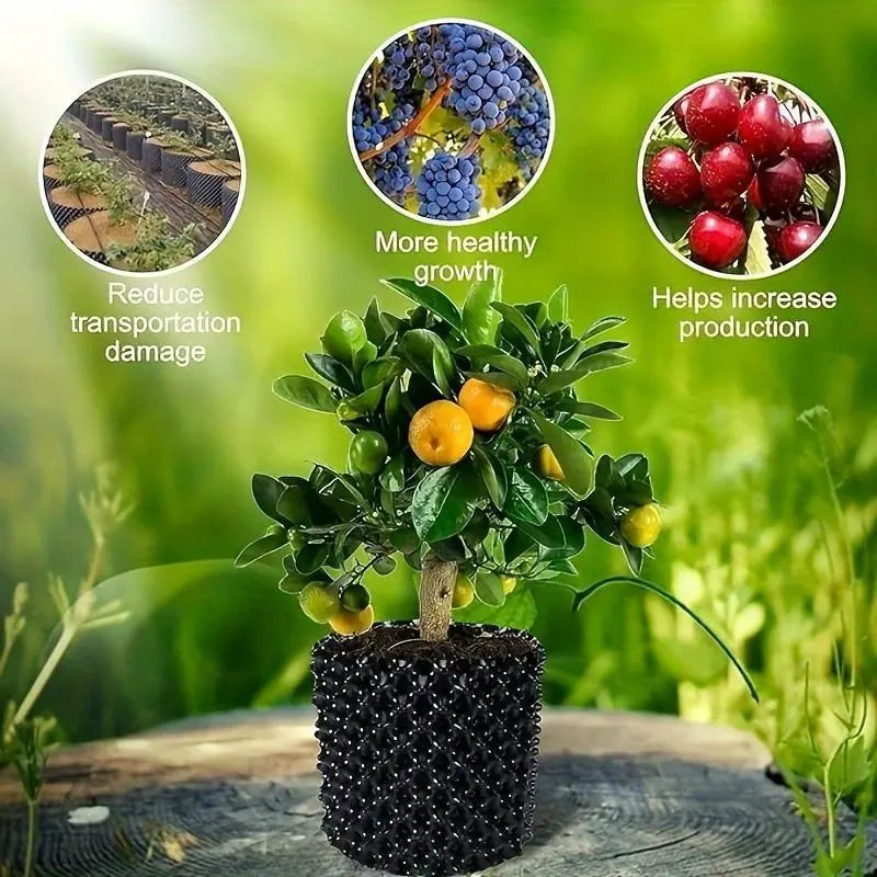 Lisslune | Root control device for plants and landscaping to promote healthy growth