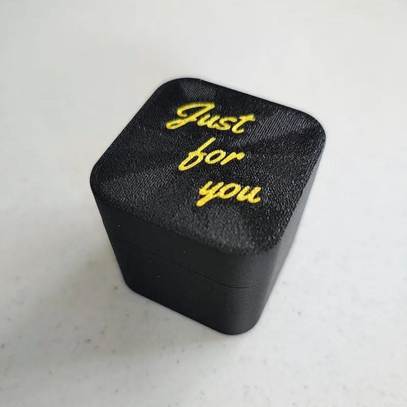Lisslune | Funny Surprise Gift Box with Hidden Twist – FlipBox
