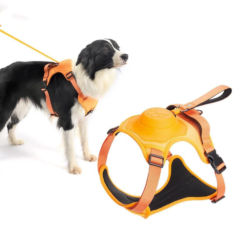 Lisslune | Dogpro | Winterproof dog leash and harness with integrated automatic retraction