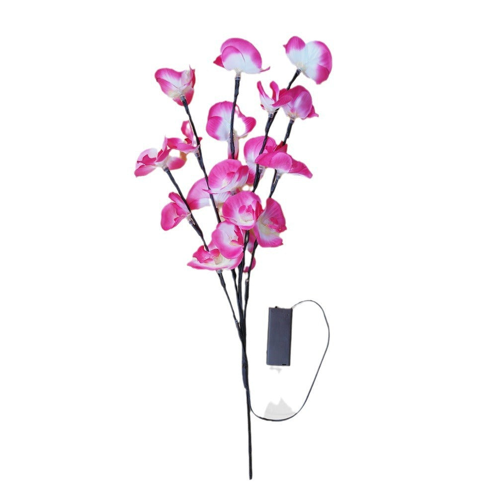 Lisslune | FairyOlive - Enchanted Lamp with Olive Branch