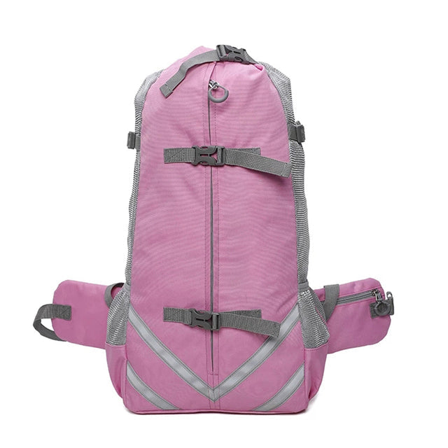 Lisslune | Dog carrier