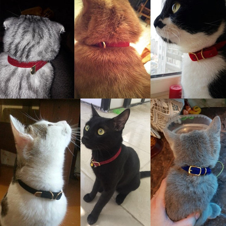 Lisslune | Collar for small cats & dogs