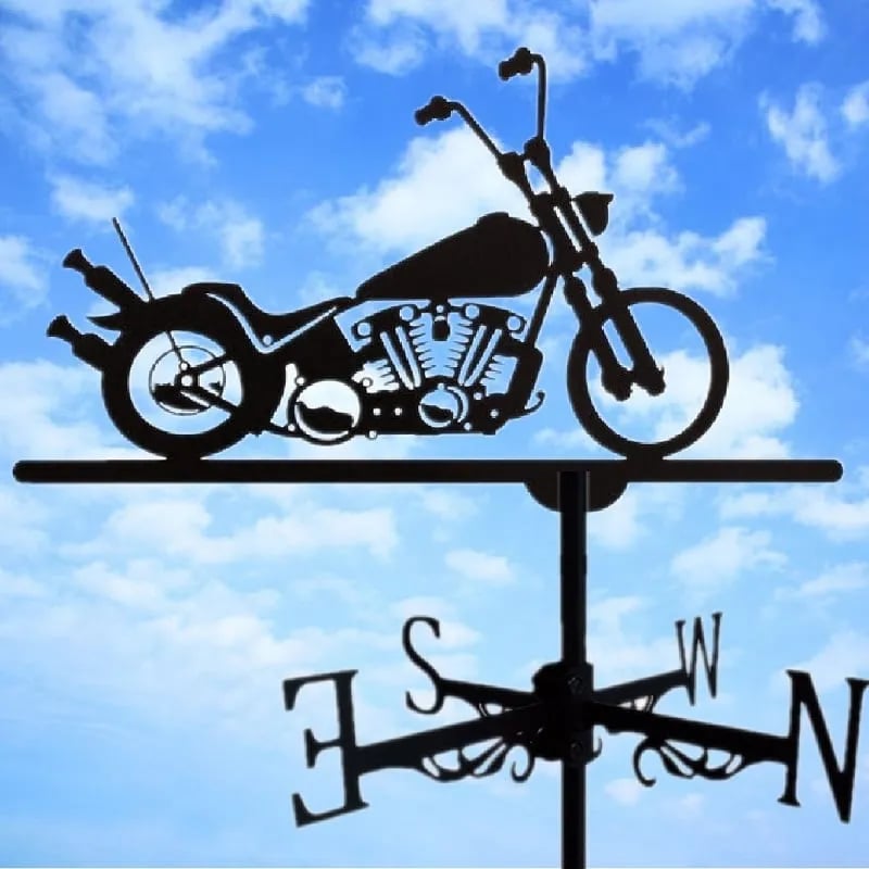 Lisslune | Stainless Steel Weather Vane!