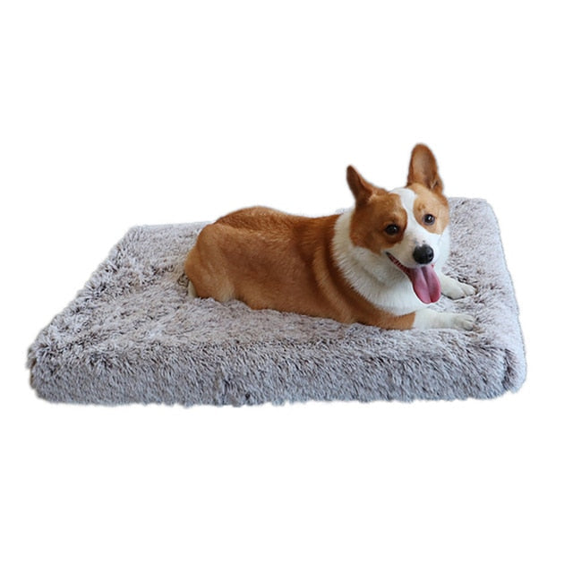 Lisslune | Plush Washable Dog Bed