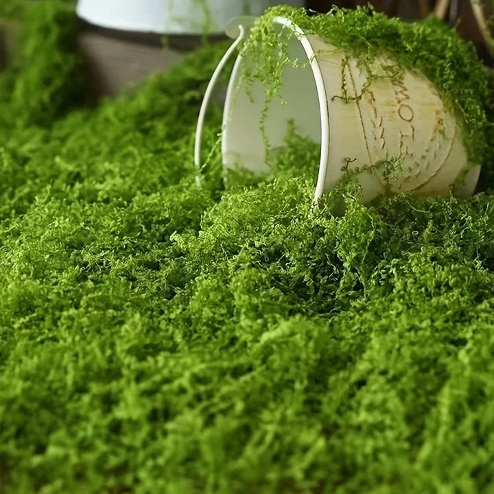 Lisslune | Artificial Moss for Landscaping – Moss and Flowers for Decoration and Floristry