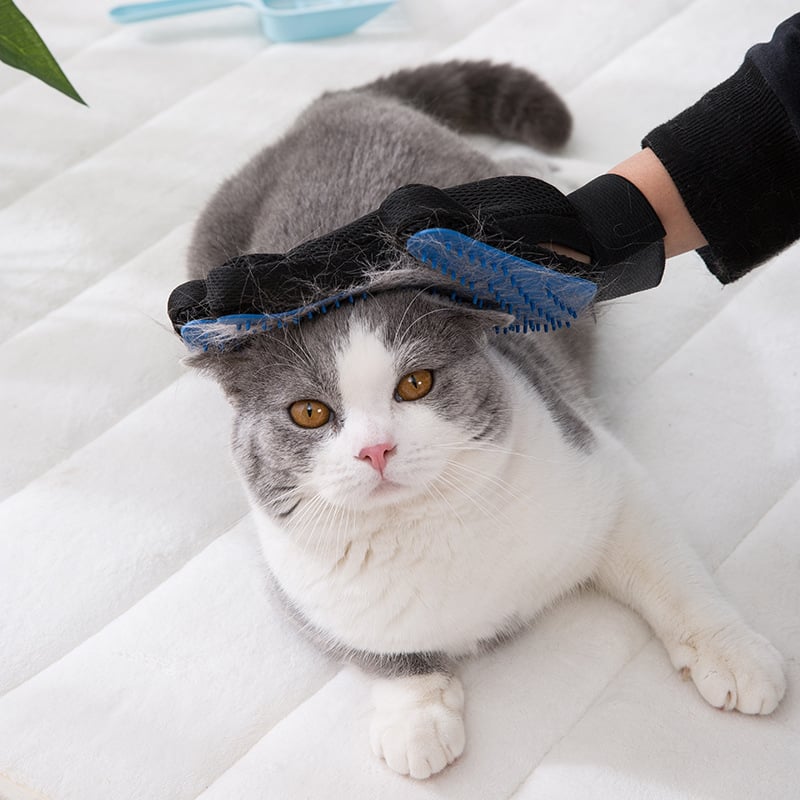 Lisslune | Cat grooming glove for cats wool glove Pet Hair Deshedding Brush Comb Glove For Pet Dog Cleaning Massage Glove For Animal Sale