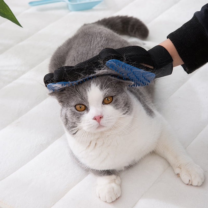 Lisslune | Cat grooming glove for cats wool glove Pet Hair Deshedding Brush Comb Glove For Pet Dog Cleaning Massage Glove For Animal Sale