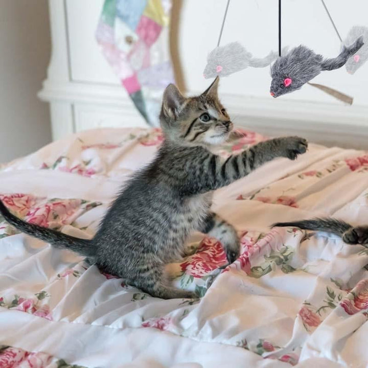 Lisslune | Hanging Door Bouncing Mouse Cat Toy