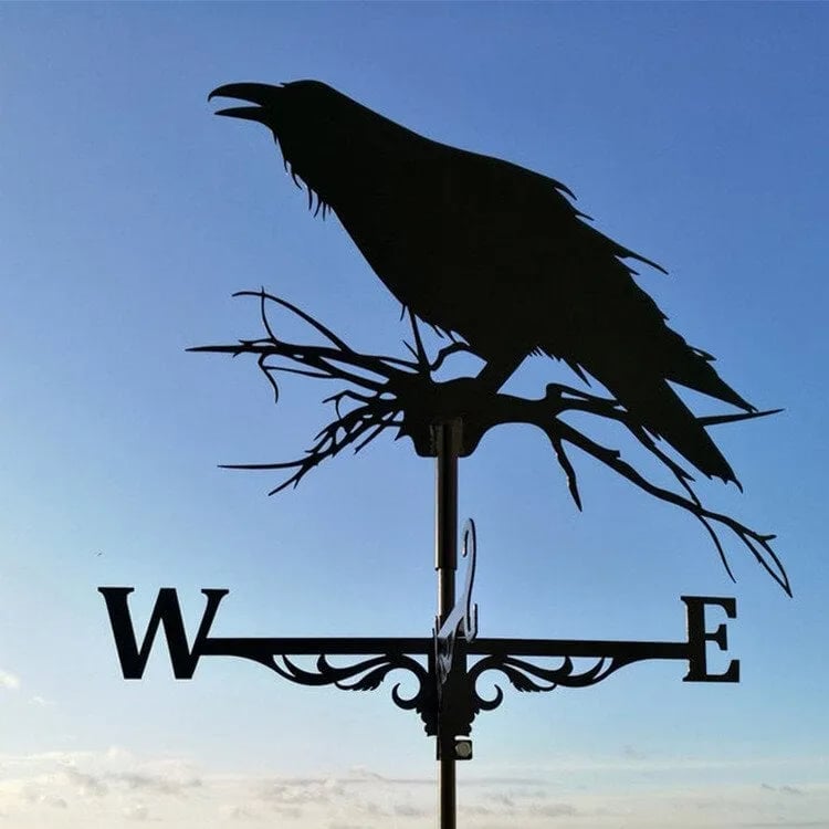 Lisslune | Stainless Steel Weather Vane!