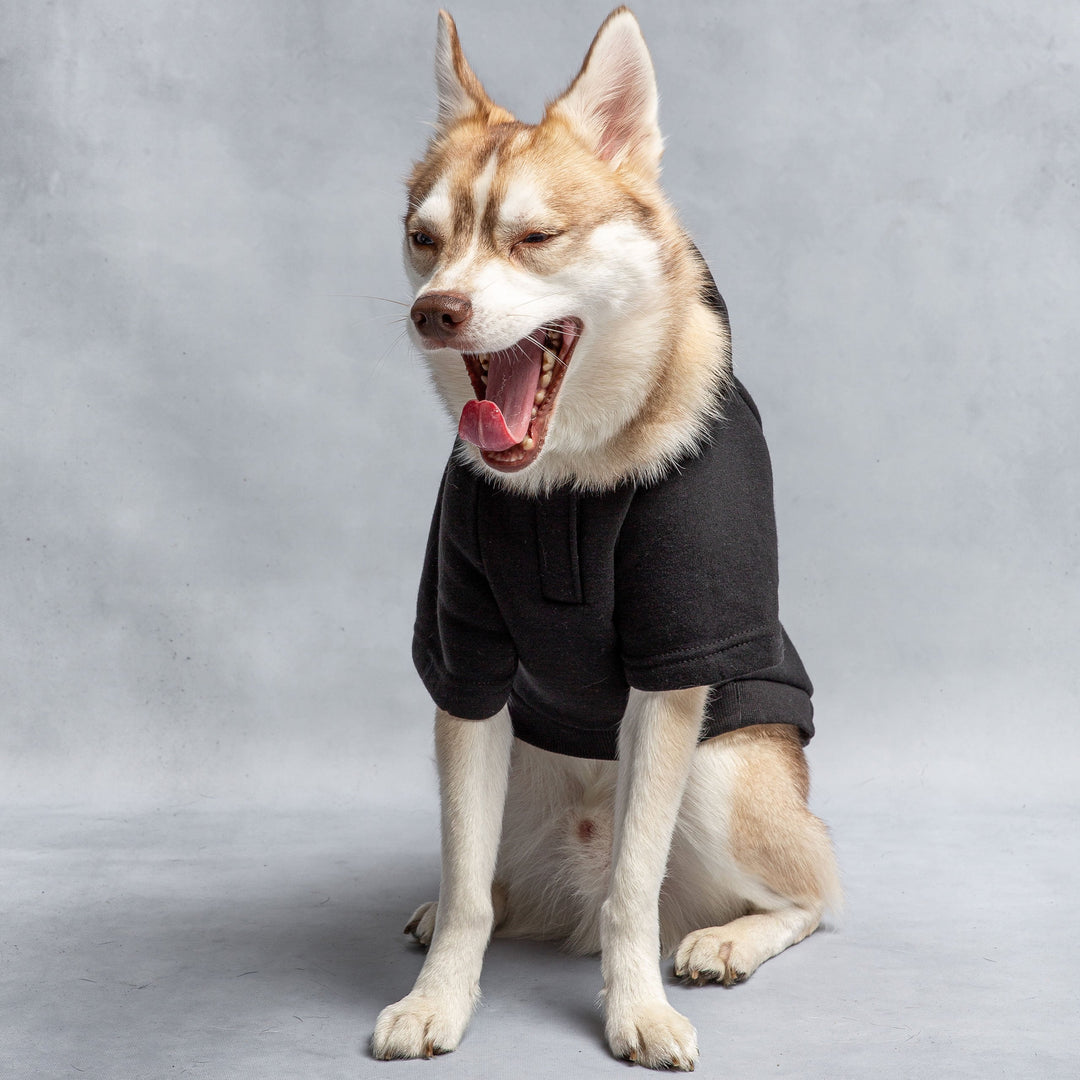 Lisslune | Hoodie Dog Fleece