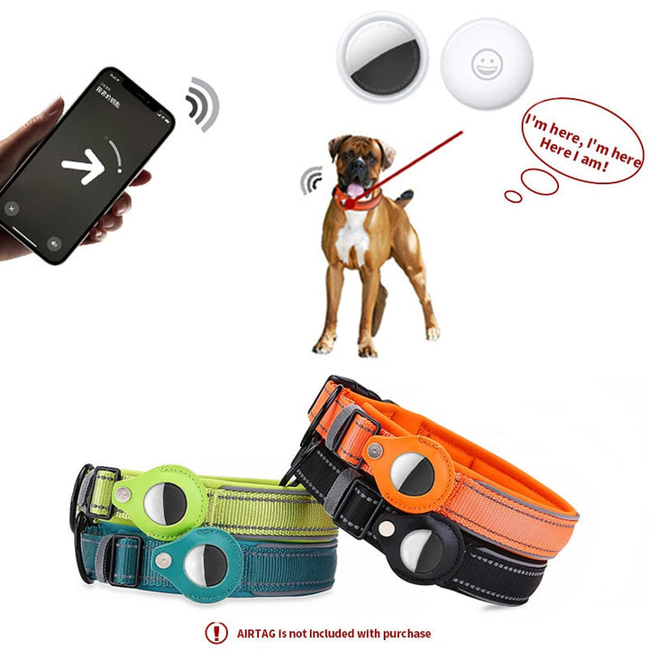 Lisslune | Anti-lost pet dog collar