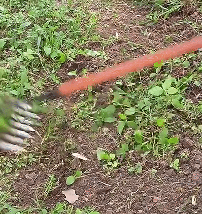 Lisslune | Weeding Rake Tool