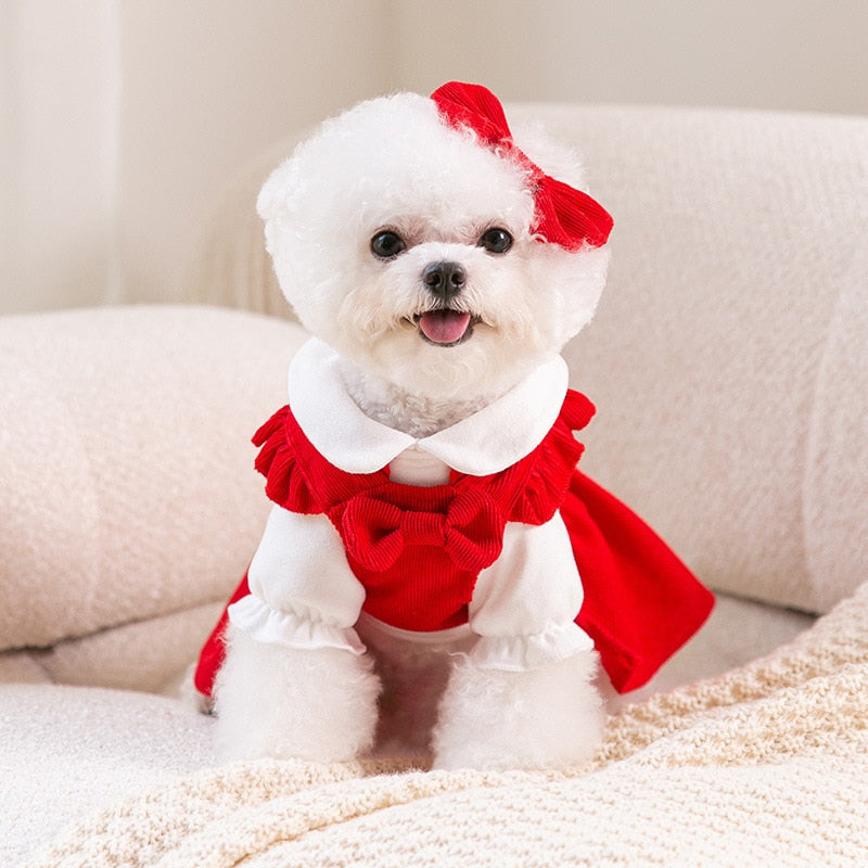 Lisslune | Puppy Bow Dress Set