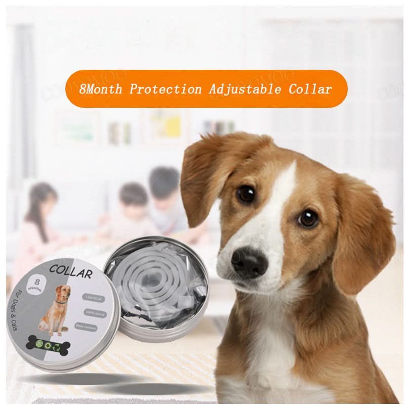 Lisslune | PAWTECT - Anti-tick and flea collar