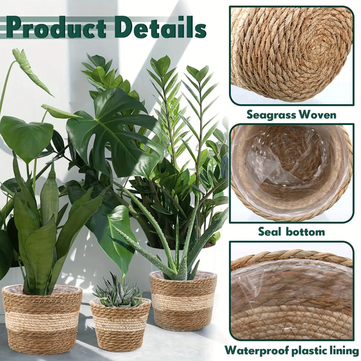 Lisslune | Decorative plant baskets made of seagrass in a set of 3 – Handwoven flower pots with foil insert