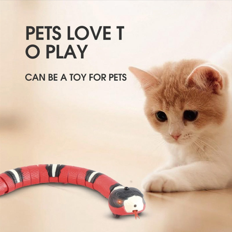 Lisslune | Smart Sensing Snake Tease Toy