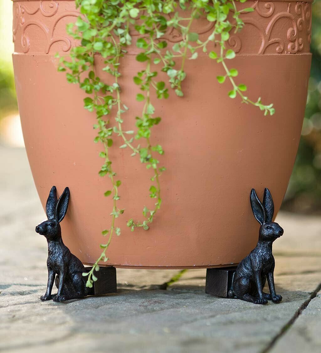 Lisslune | Potty Feet Plant Pot Feet