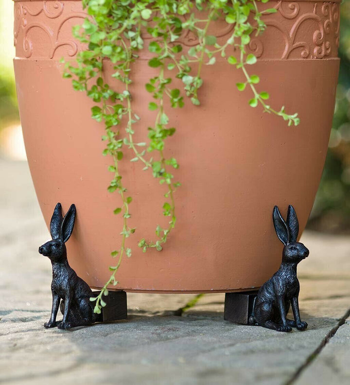 Lisslune | Potty Feet Plant Pot Feet