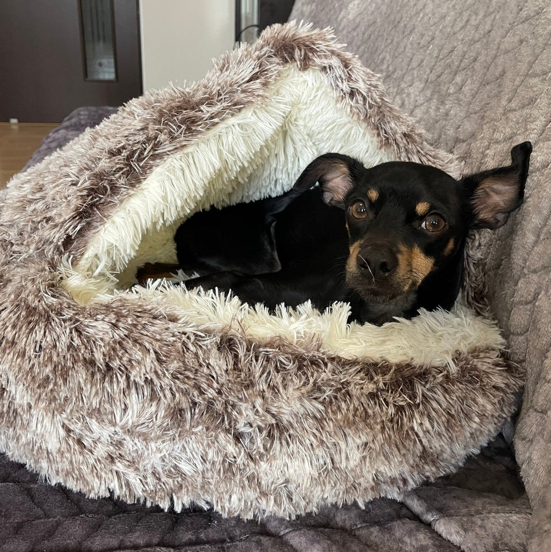 Lisslune |  Premium Pet Bed