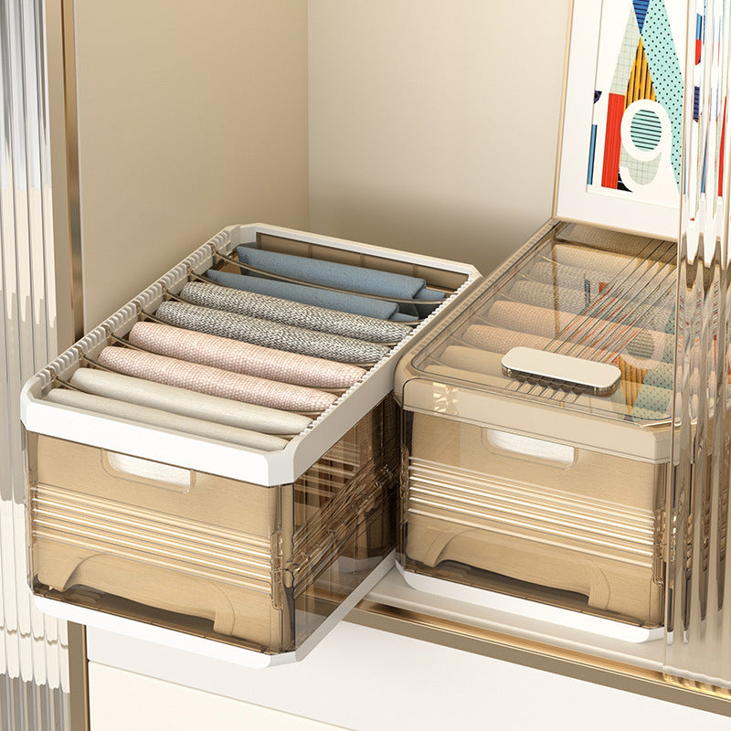 Lisslune | Effortless Easy Organizer Clothes Storage Box