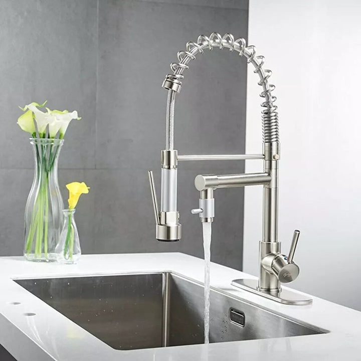Lisslune | 360° Stainless Steel Kitchen Faucet with Pull-Down Spring Spout