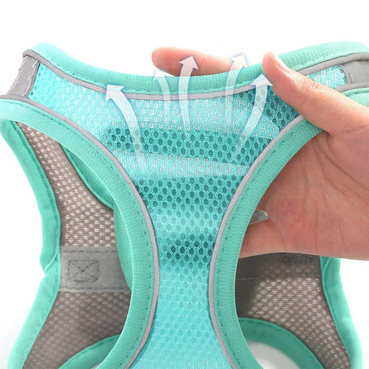 Lisslune | Small pet harness and leash set