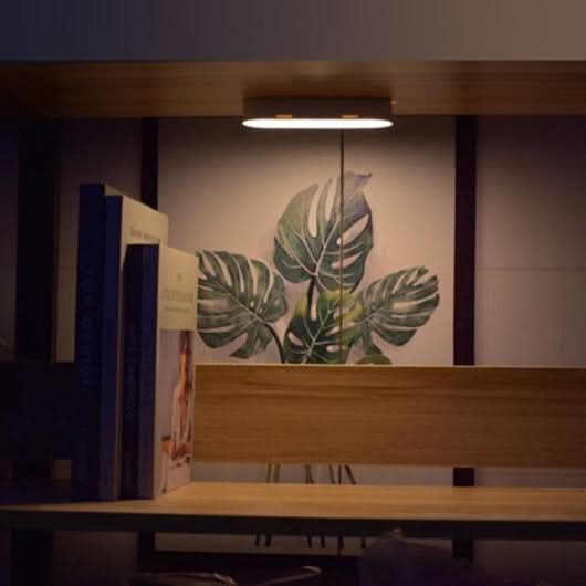 Lisslune | Rechargeable LED Motion Sensor Wall Light
