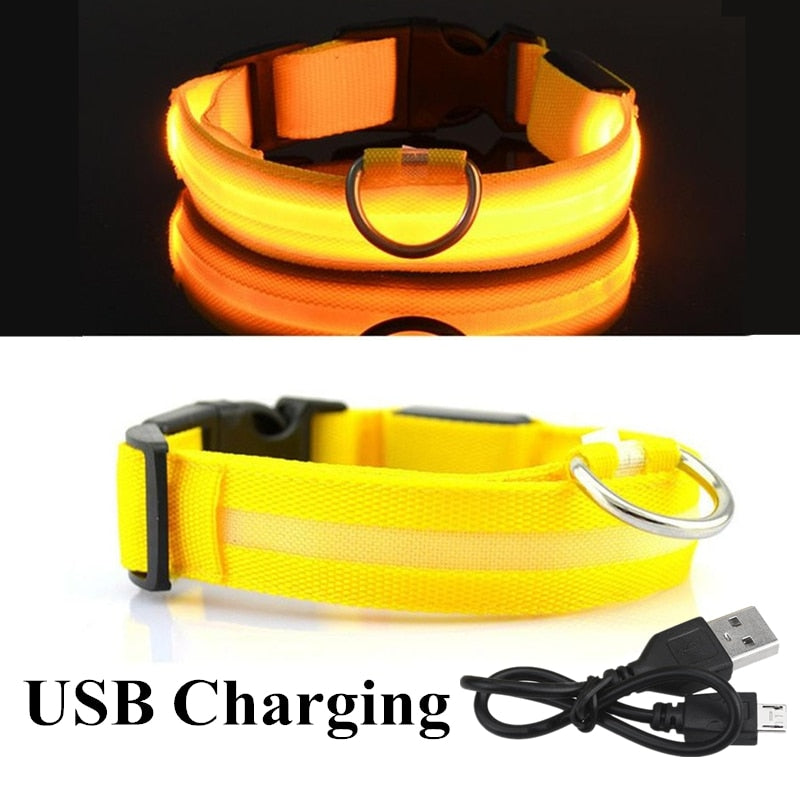 Lisslune | Adjustable LED collar