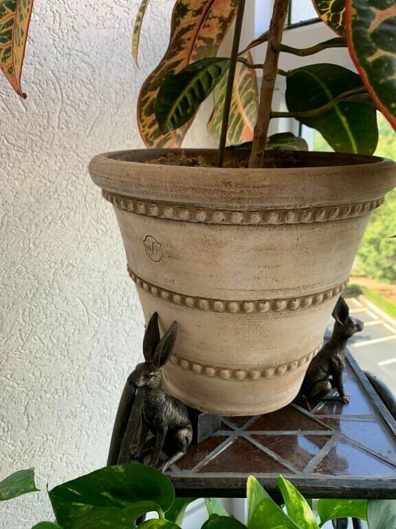 Lisslune | Potty Feet Plant Pot Feet