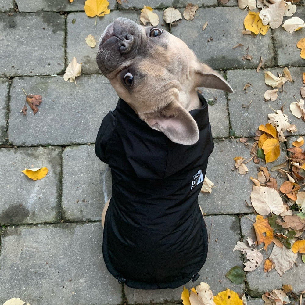 Lisslune | Reflective hoodie
