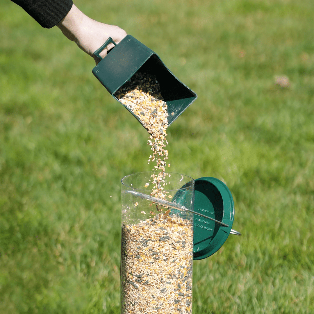 Lisslune | FEEDERGUARD – Squirrel-Proof Birdhouse for the Garden