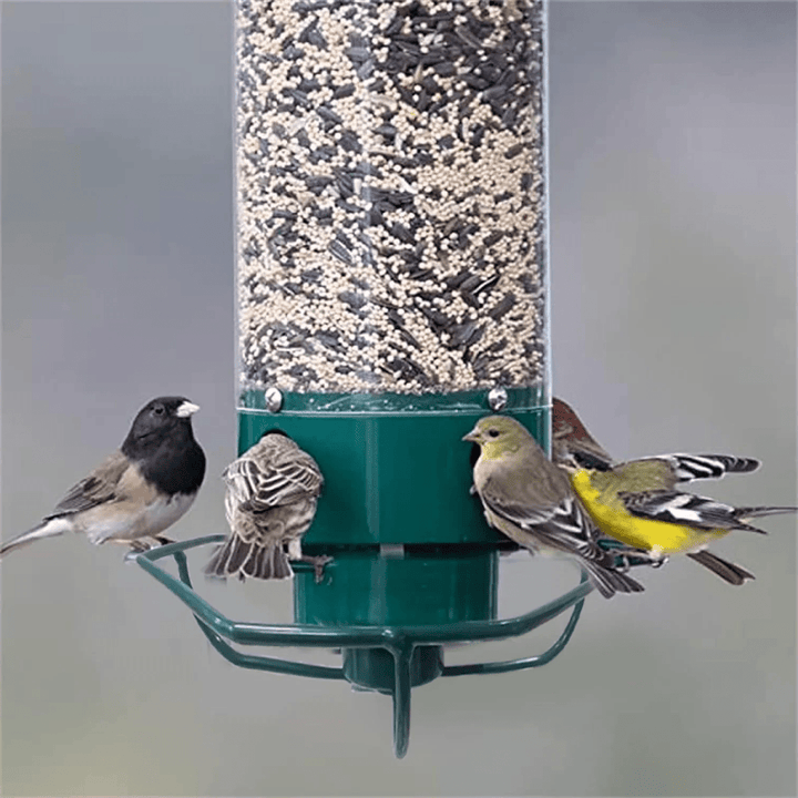 Lisslune | FEEDERGUARD – Squirrel-Proof Birdhouse for the Garden