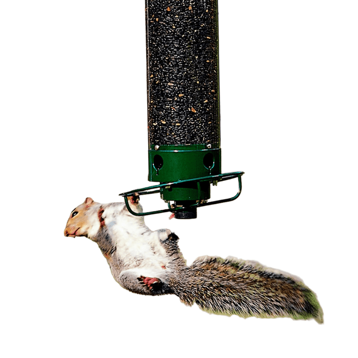 Lisslune | FEEDERGUARD – Squirrel-Proof Birdhouse for the Garden