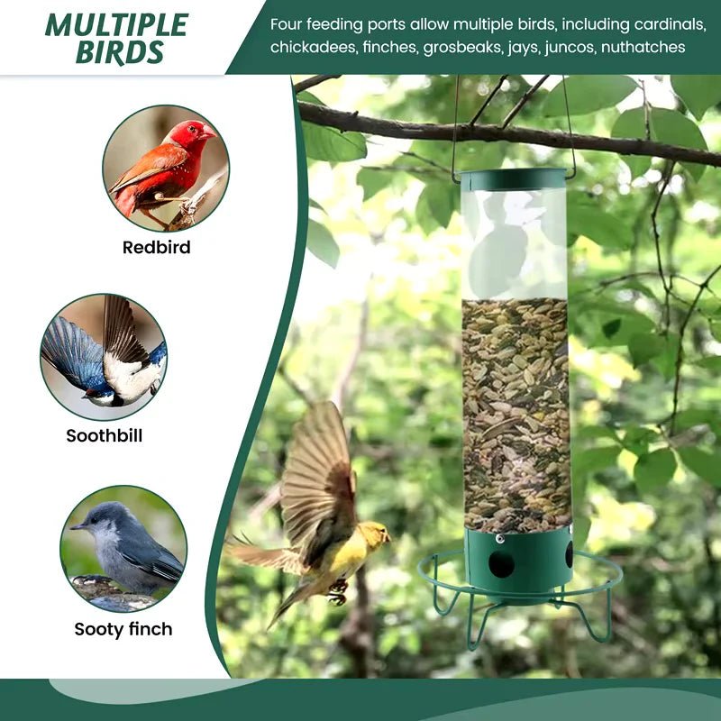 Lisslune | FEEDERGUARD – Squirrel-Proof Birdhouse for the Garden